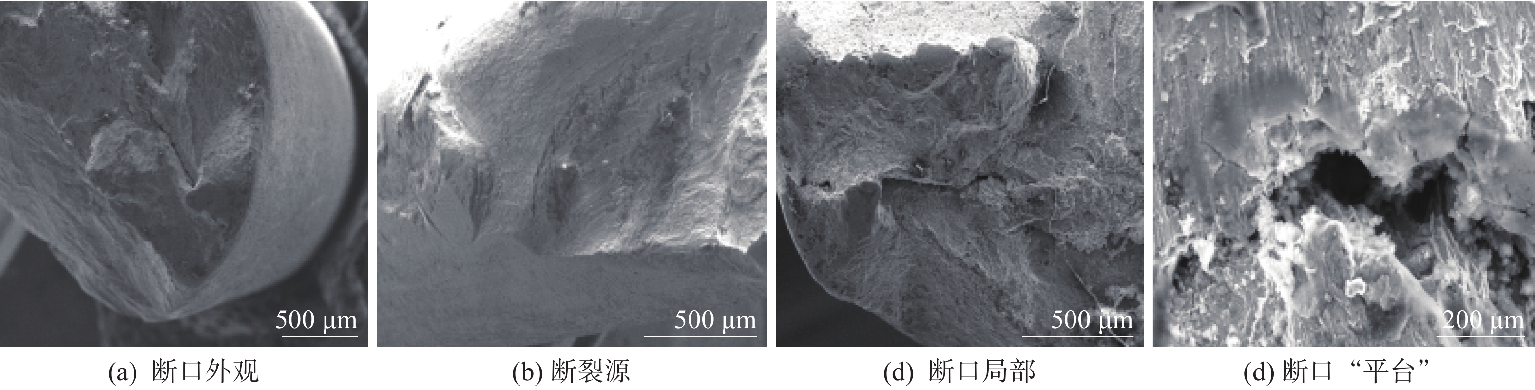 analysis-on-burr-defects-of-er50-6-wire-rod-at-the-later-stage-of-drawing