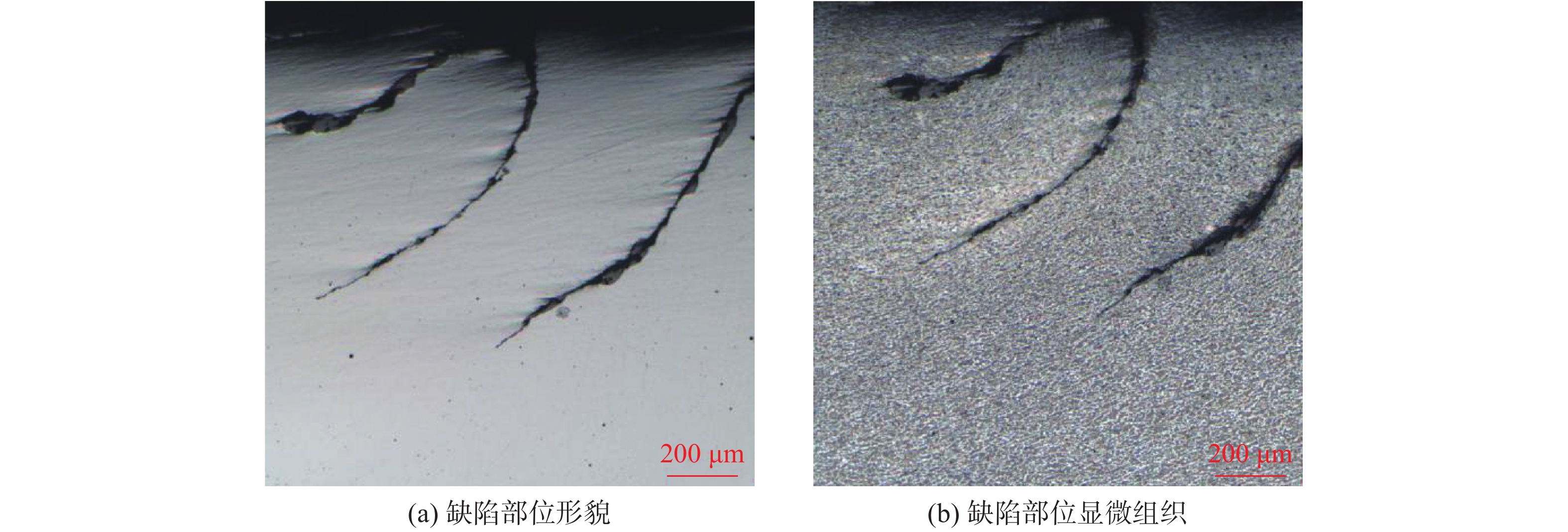 金属夹杂物及显微组织的分布状态:试样在板厚度方向边部有大量的裂纹